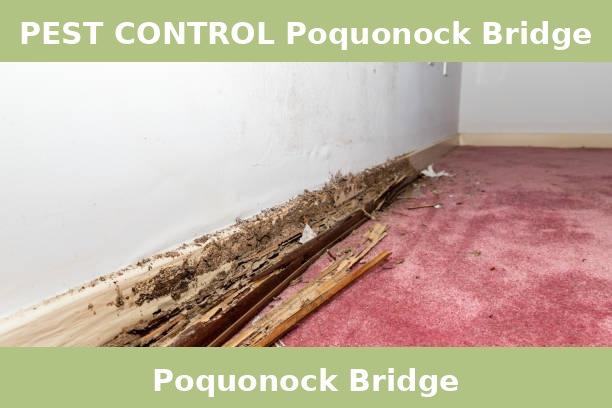 PEST CONTROL Poquonock Bridge